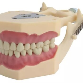 TIPODONTO AG-3D FRASACO