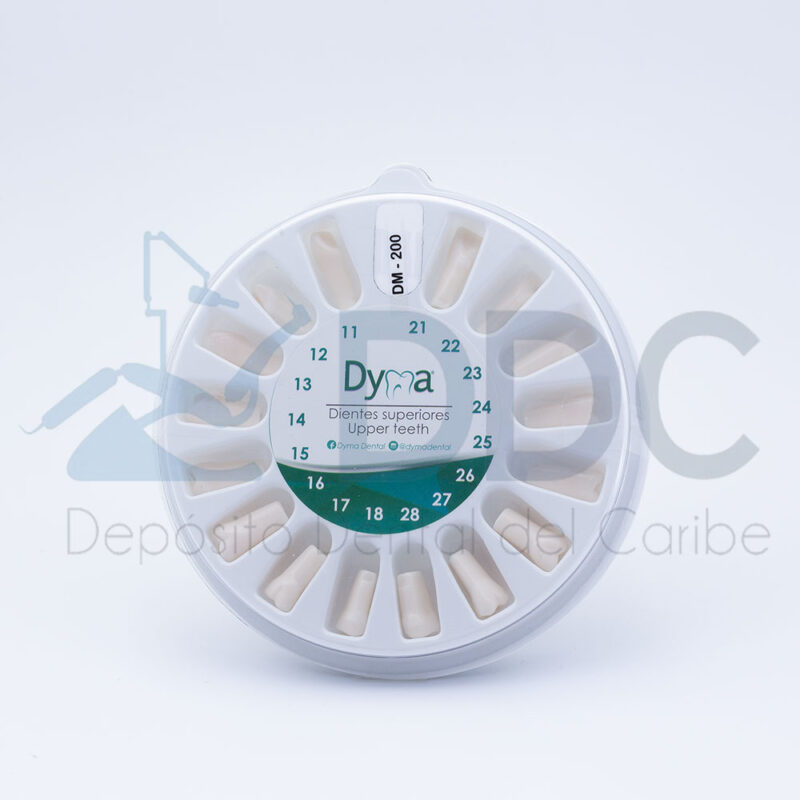 DIENTES PARA TIPODONTO TIPO NISSIN C/32