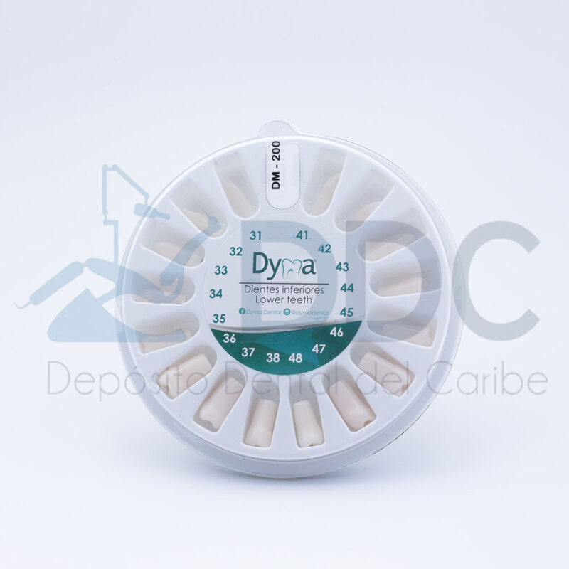 DIENTES PARA TIPODONTO TIPO NISSIN C/32 - Imagen 2