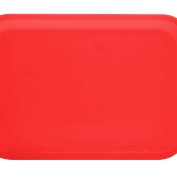 CHAROLA DE PLASTICO LISA CHICA
